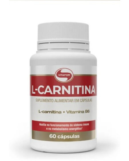 L CARNITINA 120 CAPS VITAFOR